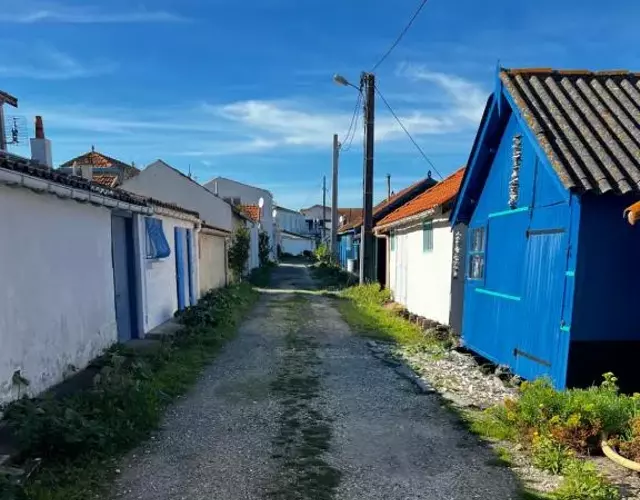 L'étoile de mer