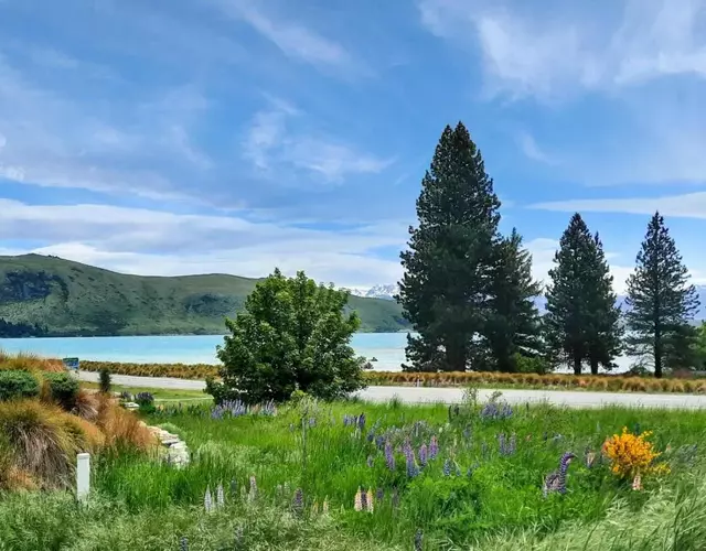 Josephine's Lakeside Star