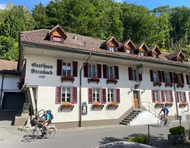 Historic Hotel Steinbock