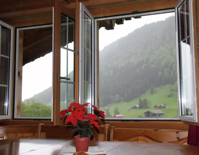The Saxeten alps