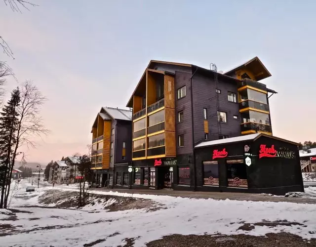 Levillas Levin Kunkku
