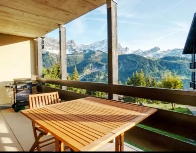 Appartement sur les pistes