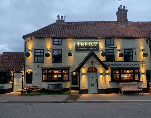 The Ivy