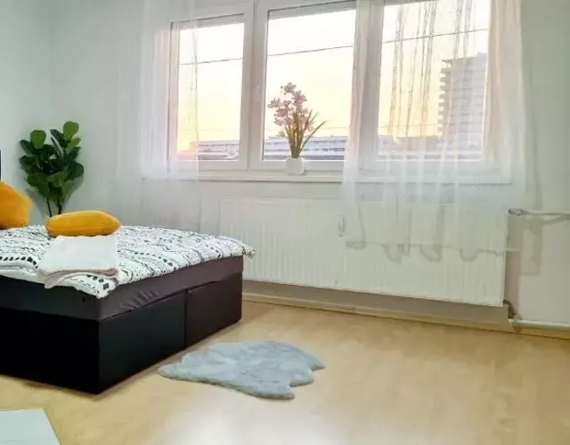 Central apartment in LINZ