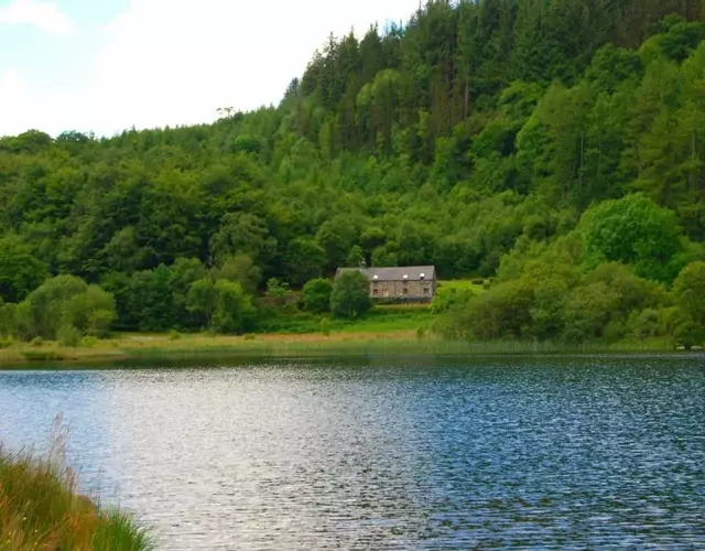 Ty Newydd
