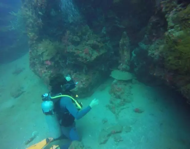 Anilao Scuba Dive Center (ASDC)
