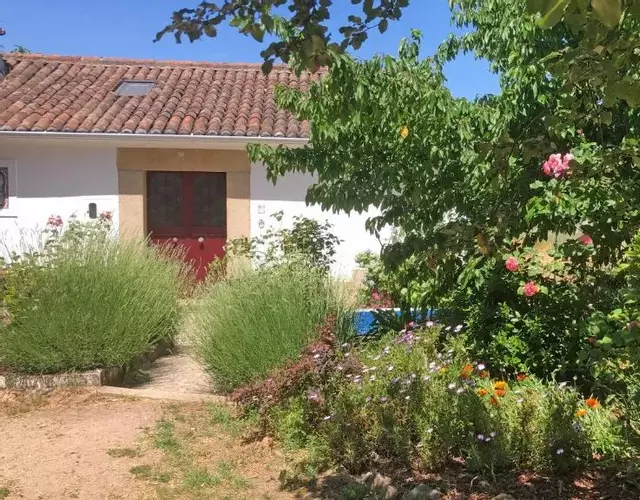 Ola Linda - Casa de Campo -
