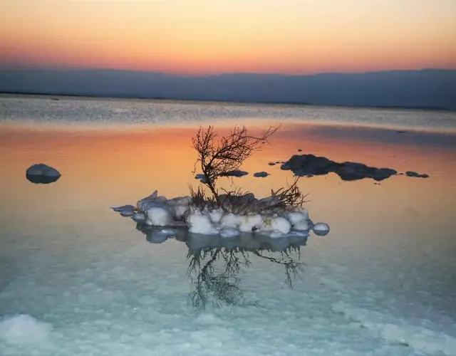 במיוחד בשבילך צימר ערד