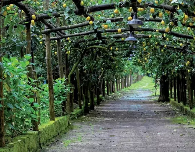 Agriturismo Il Convento