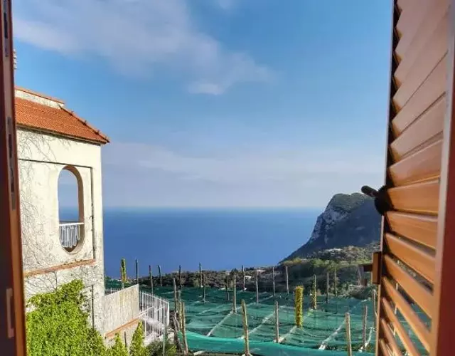 Villa Mariel Suites & Apartment