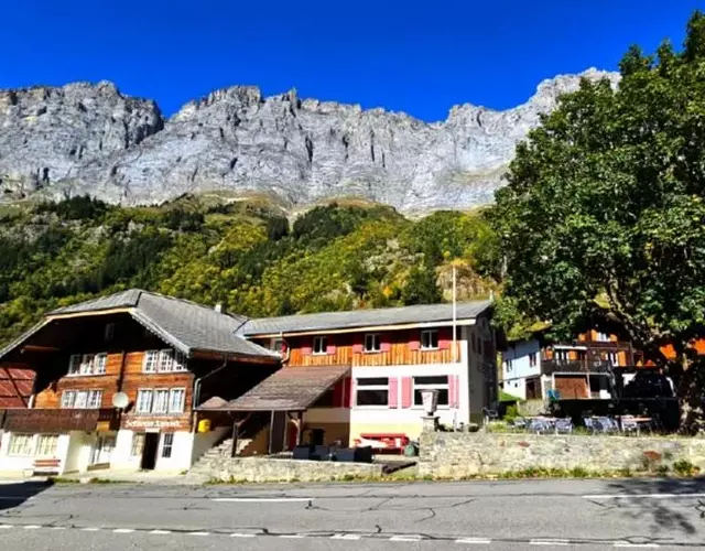 Gadmen Alpenrose, Switzerland