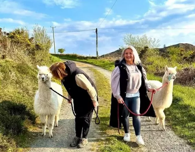 Short & Sweet Alpaca Retreat