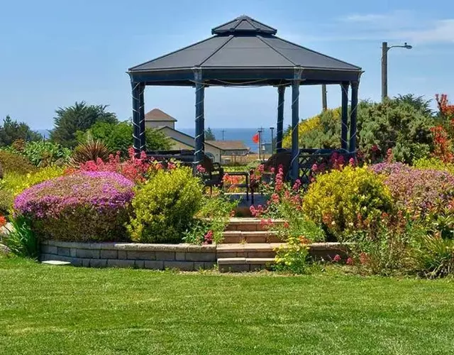 Surf Motel and Gardens