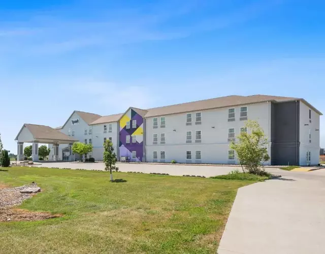 Spark by Hilton Minot