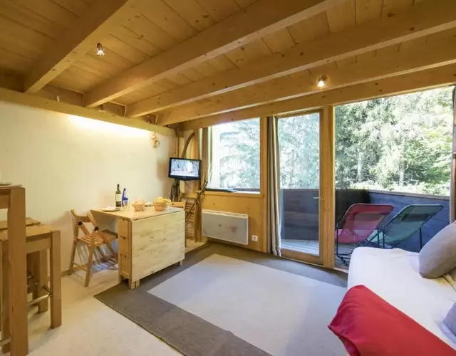 Résidence Grand Roc - Ancolies 104 - Happy Rentals