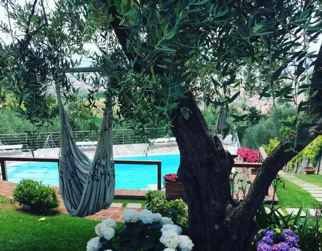 Villa l'Uliveta