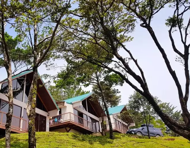 Green Forest Rustic Houses