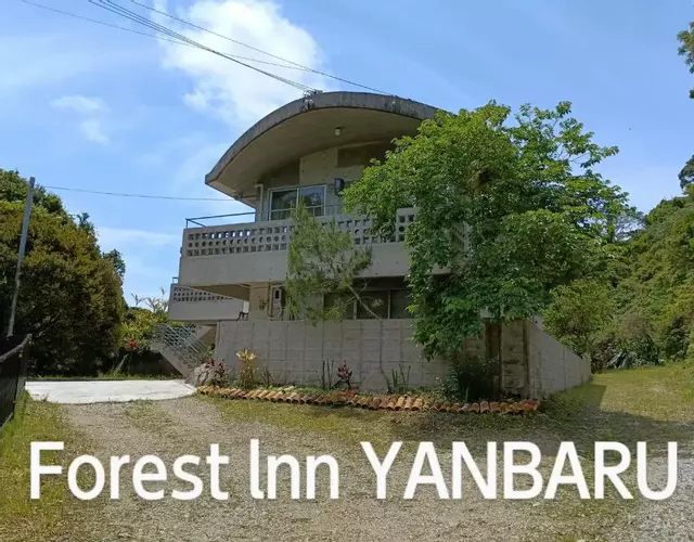 ジャングリアに一番近い宿 敷地四千坪以上 一階まるまる貸切 広い敷地内でBBQ可 Forest lnn YANBARU