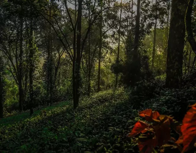 Southern Panorama Indriya Resorts & Spa