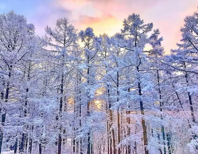 Resort Project Myoko Kogen Hot Spring