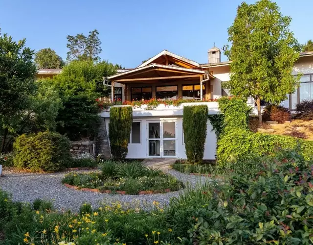 Tree of Life Junoon in the Hills Kumaon