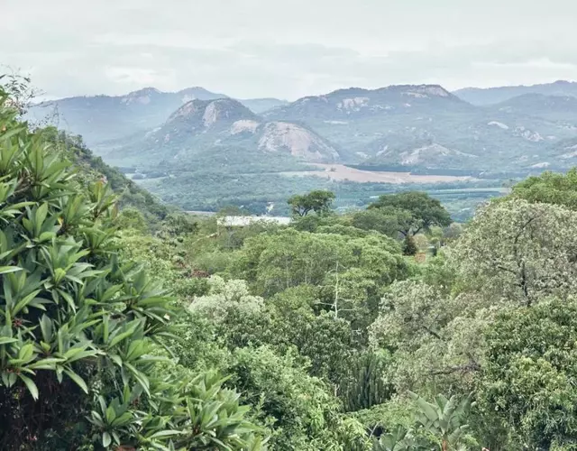Leopard Tree Retreat