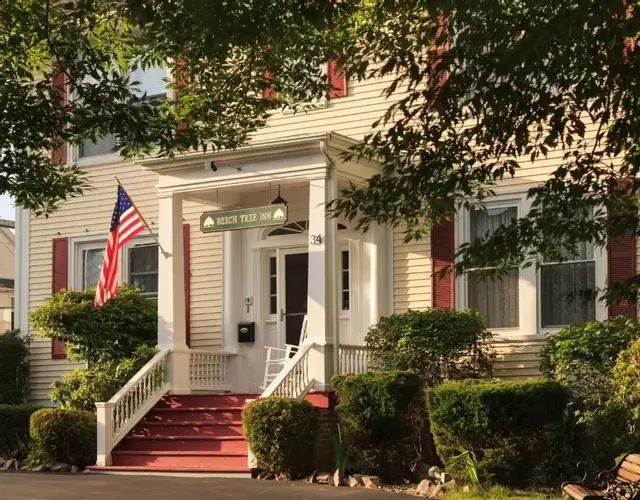 Beech Tree Inn and Cottage