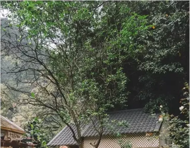 Trang An Mountain House