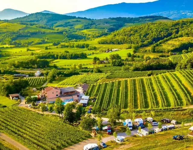 Saxida Wine & Camping Resort Pitches