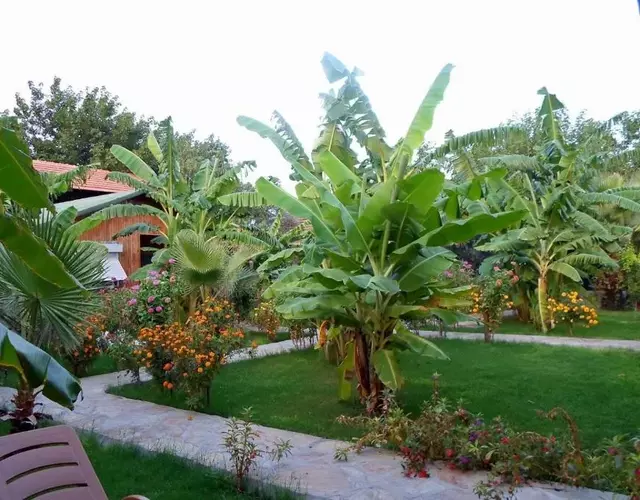 Estelar Bungalow