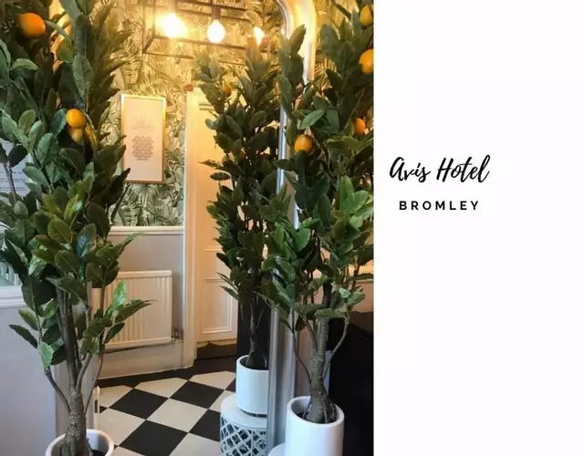 Avis Hotel