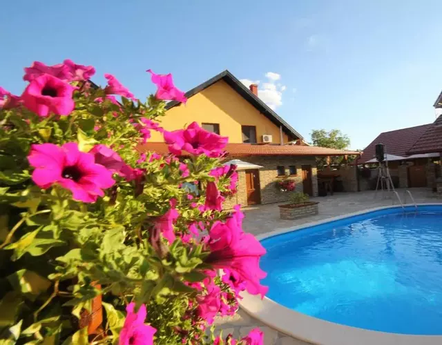 Guest House Vila Alexandar