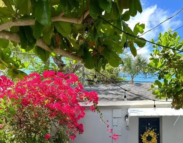 Salthaus West Palm Beach - saltwater pool & spa coming December 2025!