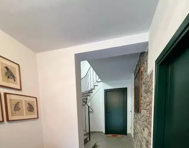 Monte Cucco - Monticello Apartments