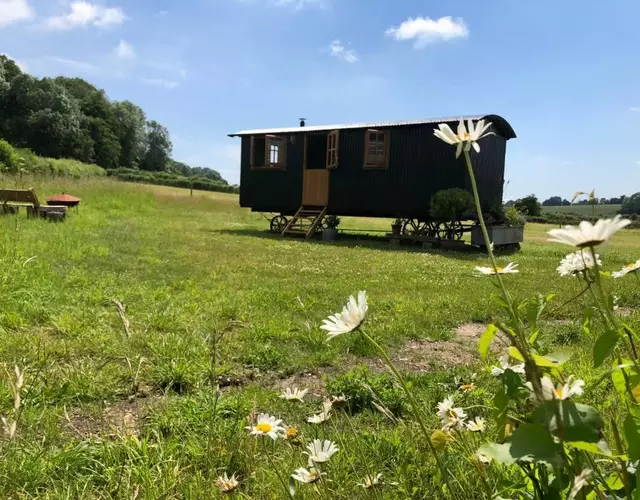 Deer Lodge Shepherds Hut