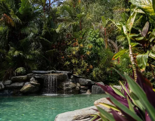 Daintree Beach Resort
