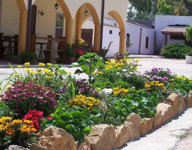 Agriturismo Cuile de Molino