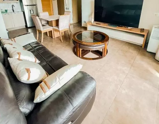 Beautiful and functional apartment in Providencia