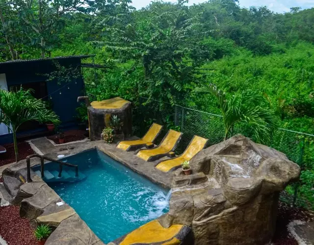 The Jungle Container