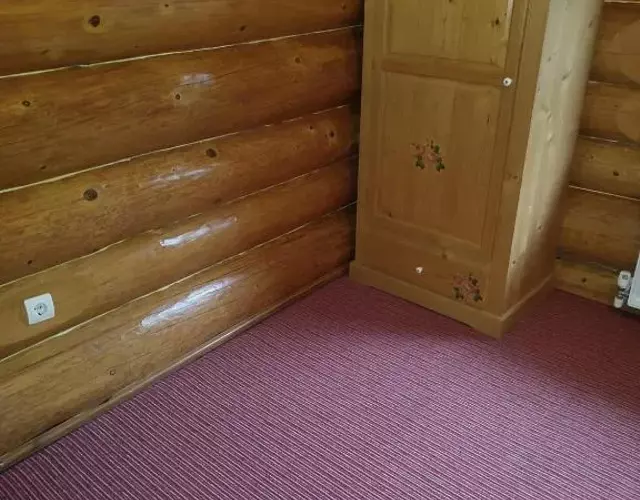 Farmhouse Rosehip Flower Romania Brasov