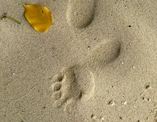 Duke of York Hamlet - Camping and Recreational Site, in Kokopo