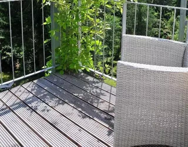 Stadt- Naturnah, Traumblick und Balkon