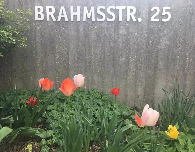 Brahms 25