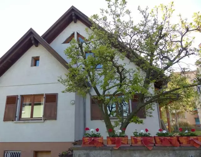 GITE SPACIEUX AU COEUR DE L'ALSACE 3***