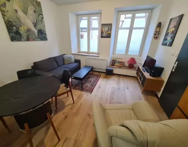 La cigogne d'Alsace 3
