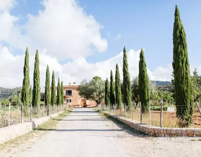 Finca Es Cabàs