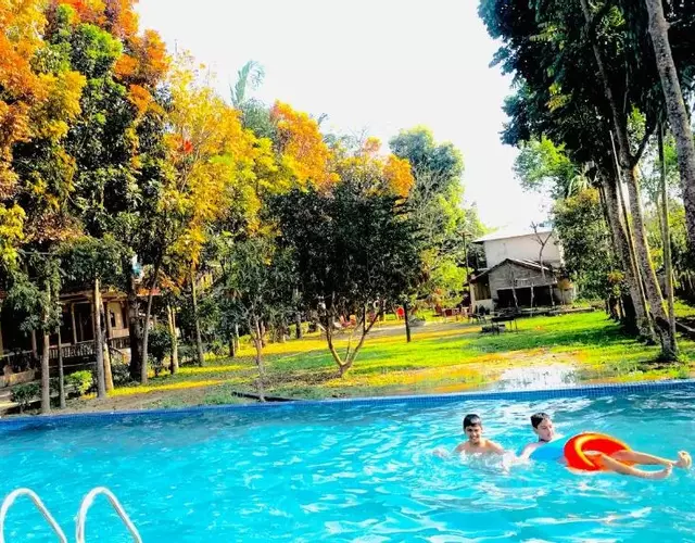 Chitwan Forest Resort with swimming pool , Chitwan National Park