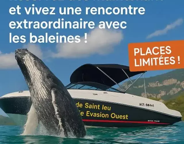 Croisièouest bateau privatise O6, 93,70,59,79