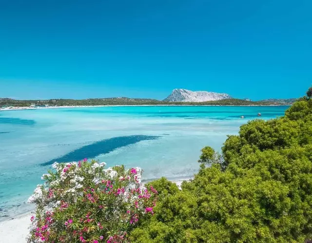 Dreams & Comfort San Teodoro