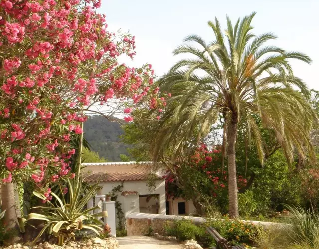 encantadora casa ibicenca